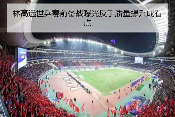 林高远世乒赛前备战曝光反手质量提升成看点 - WENDING SPORTS